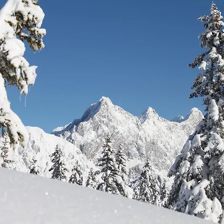Haus Roetelstein Lejlighed Filzmoos
